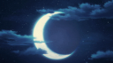 Moonlit Paws Discord Server Banner