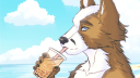 Furry FR Discord Server Banner