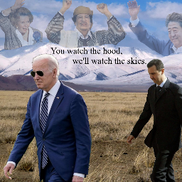 R/ConservativeSocialist Discord Server Banner