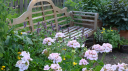 Garden Revival Discord Server Banner
