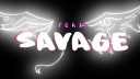 TS乛OFFICIAL Discord Server Banner
