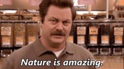 Nature Discord Server Banner