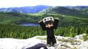 ⭐ UltyCord ⭐ Discord Server Banner
