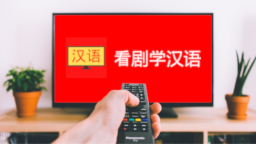 看剧学汉语 Discord Server Banner