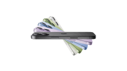 The Apple Den Discord Server Banner