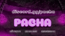Pacha 🍒 Discord Server Banner