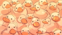 Patitos de Caro Discord Server Banner
