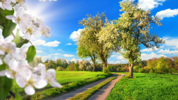 Vegan Dreamland Discord Server Banner