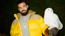 OCTOBERS VERY OWN Discord Server Banner