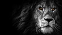 LEON SERVER Discord Server Banner