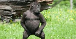 Jackunity Discord Server Banner