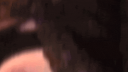🧃 .City Of Lover'sᵀᴹ Discord Server Banner