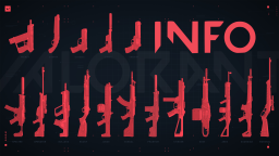 VALORANT INFO Discord Server Banner