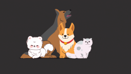 ×ꗃ Discord Server Banner