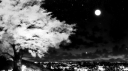 Project Laser Discord Server Banner