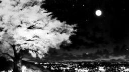 Project Laser Discord Server Banner