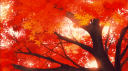Tofu Community Discord Server Banner