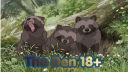 The Den () Discord Server Banner