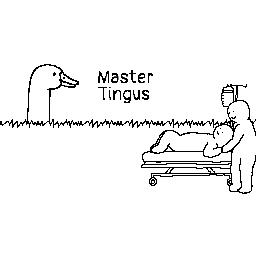 Tingus Paradise Discord Server Banner