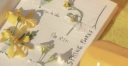berri 🌻  (RVMP) guild﹒icns﹒dcr Discord Server Banner