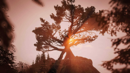 Juniper Arena Discord Server Banner