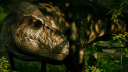 Juniper Arena Discord Server Banner
