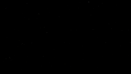 blank Discord Server Banner