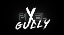 Pixel Gully Discord Server Banner