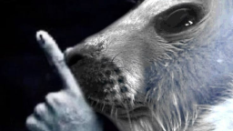 Lovely ๐๐ธ Discord Server Banner
