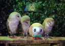 ┊︰꒰ Mudkip's Pond ꒱・ ₊˚ ⛲ Discord Server Banner