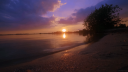 Tidal Treasures Discord Server Banner