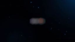 BRIGHT FOX Discord Server Banner