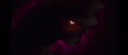 CREATION〤TRIO Discord Server Banner