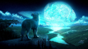 Delta Wolf Gaming Discord Server Banner