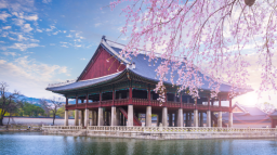Refold - 한국어 (KR) Discord Server Banner