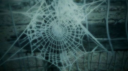 🍀🍀 Discord Server Banner