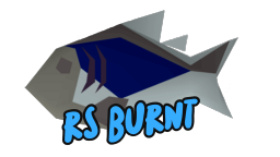 RS Burnt Discord Server Banner