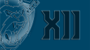 COMP Gorilla Tag Discord Server Banner