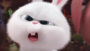 kiwey Discord Server Banner