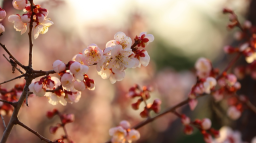 A Cruel Angels's Server Discord Server Banner