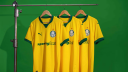 SE Palmeiras Discord Server Banner