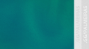 SE Palmeiras Discord Server Banner