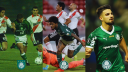 SE Palmeiras Discord Server Banner