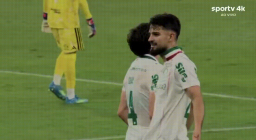 🇧🇷 SE Palmeiras 🇧🇷 Discord Server Banner