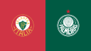 SE Palmeiras Discord Server Banner
