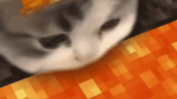 MINEHOUSE Discord Server Banner