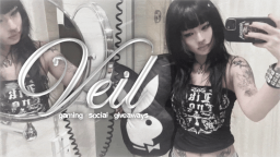 ☆ veil Discord Server Banner