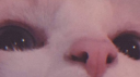 ludic Discord Server Banner
