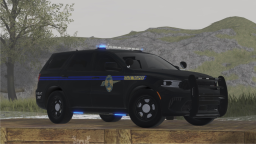 South Carolina State Roleplay Discord Server Banner
