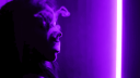 ᴮᴰ Discord Server Banner